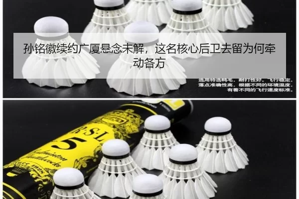 孙铭徽续约广厦悬念未解，这名核心后卫去留为何牵动各方